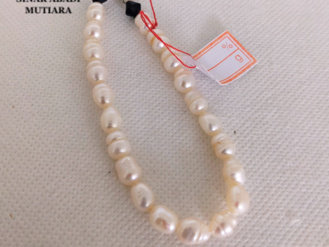 gelang air tawar gat 01