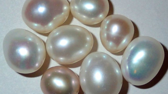 mutiara asli